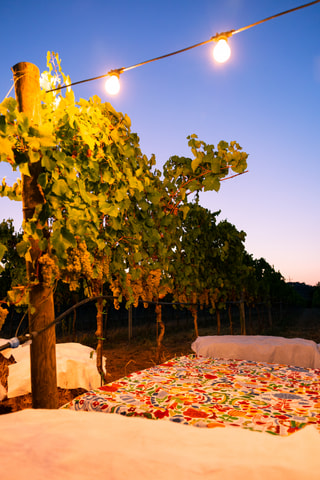 Lampadine accese tra i tralci di una vigna all’ora blu, con un telo a fiori in primo piano.